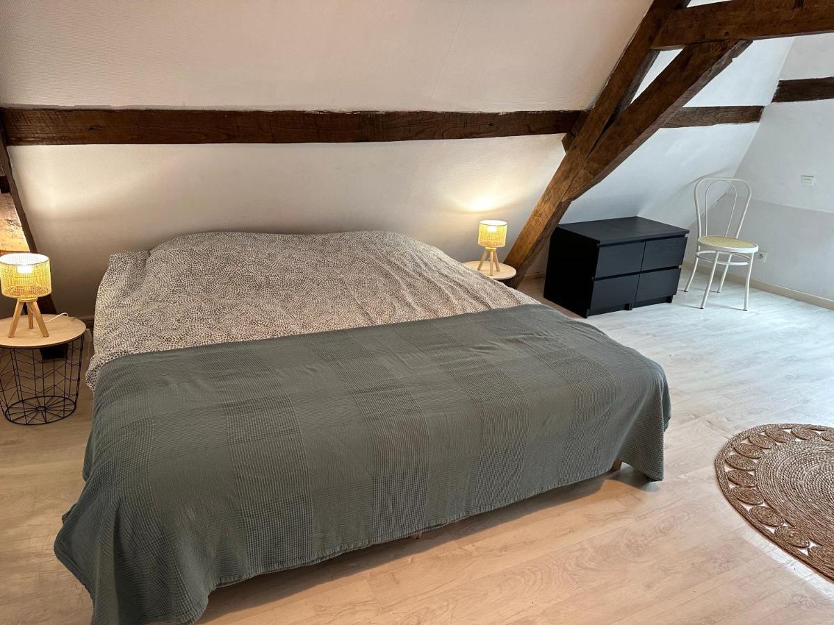 Appartement Duplex Proche De La Gare Et Du Centre Ville 圣奥梅尔 外观 照片
